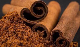 上肉桂和肉桂是一样的吗 上肉桂和肉桂是不是一样的呢