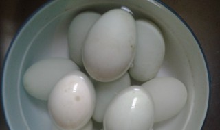 生的咸鸭蛋怎么煮才不会炸 怎么煮生的咸鸭蛋