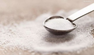 为什么盐那么重要 盐的重要性