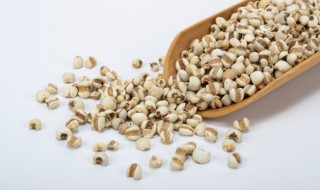 没煮烂的薏米可以吃吗 没煮烂的薏米能不能继续食用呢