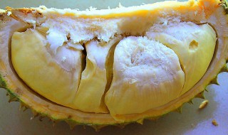 榴莲能和茄子隔多久一起吃吗 榴莲能和茄子隔多久可以一起吃