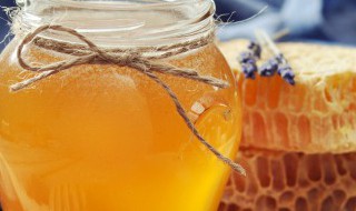 黑芝麻泡蜂蜜多久能吃 黑芝麻泡蜂蜜多长时间可以吃