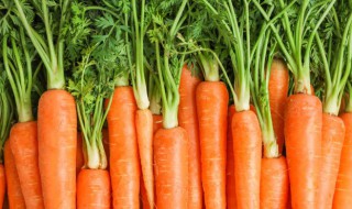 自家怎样怎样种胡萝卜 如何种植胡萝卜