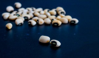 白芸豆直接吃可以减肥吗 白芸豆怎么吃减肥