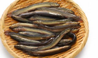 泥鳅的做法怎么杀泥鳅 泥鳅的做法和杀法