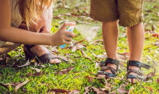 什么人容易被跳蚤咬 容易被跳蚤咬的人群