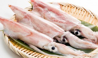 墨鱼是发物吗吃了发吗 墨鱼是发物吗