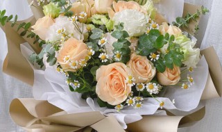 33朵香槟玫瑰代表什么意思 33朵香槟玫瑰含义介绍