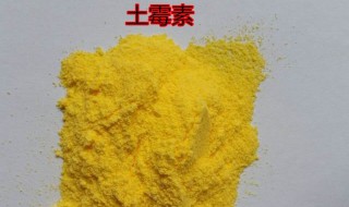 土霉素主治狗什么病 喂法是怎样的