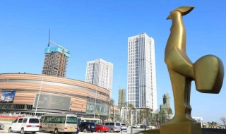 金鸡直播中央一台能看到吗 来瞧瞧