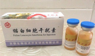 猫干扰素可以打几天 赶紧看看吧