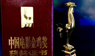 中国电影金鸡奖的评奖规则 中国电影金鸡奖的评奖规则有哪些