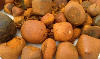 天然牛黄长什么样 什么是牛黄