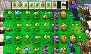 如何下载植物大战僵尸 下载教程