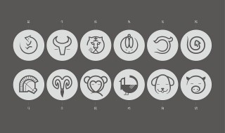 夜肖是哪几个生肖 夜肖是什么意思