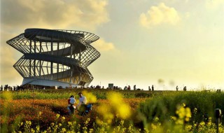 光明小镇花期11份有花看吗 错开了花期的盛开时间