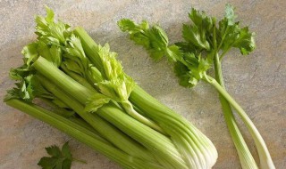 男的吃芹菜有什么好处 主要有这7点好处