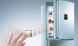 海尔冰箱软冻多少度 设置-7℃冷冻空间