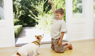 8岁男孩教育方法 五个方面教育8岁男孩