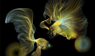 鱼的形态有哪些描写 描写鱼的外形句子推荐