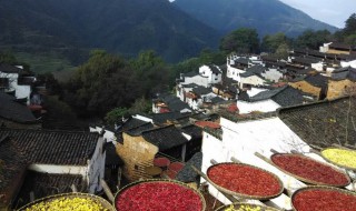 篁岭60岁要门票吗 带上父母去游玩吧