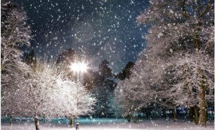 冬夜诗词 五首关于冬夜的诗词