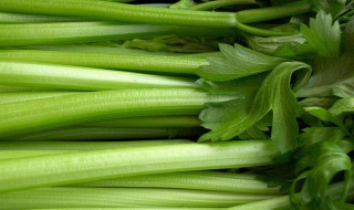 男人吃芹菜有什么坏处 要多久恢复