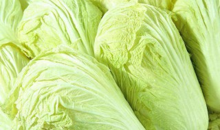 梦见大白菜是什么预兆 是什么意思