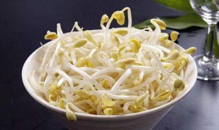 什么种子发芽最快 要多少天