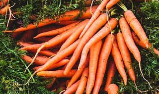 萝卜调馅秘方 真的太好吃了