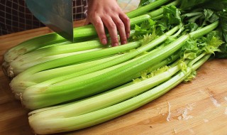芹菜的切法 切芹菜的方法