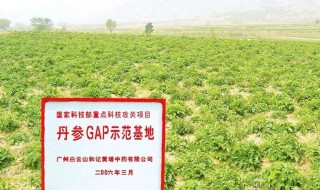 河南能种植什么药材 来看看吧