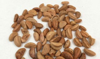 山楂种子可以种吗 山楂种子有什么功效与作用