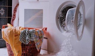 小苏打清洁洗衣机妙招 洗衣机里面脏了怎么办