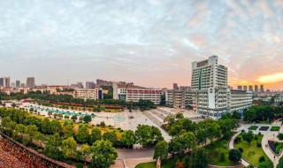 南华大学2019录取线 最低分是多少？