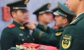 干事和助理的区别 部队机关里面的干事助理有什么不同