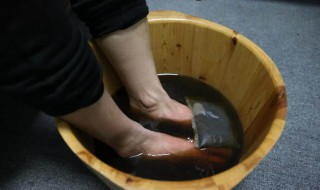 干艾草怎么泡脚 给你推荐最佳方法
