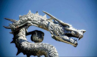 2000年属什么生肖 以及关于那个生肖的简介