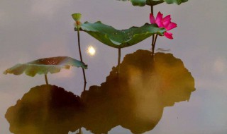 表达同事缘分的句子 你我好好珍惜这缘分