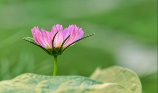 周末愉快微信心情句子 一起来看看吧