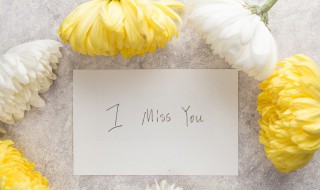 想念亲人的句子 关于想念亲人的优美句子