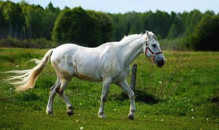女属马生几月好 这几个月最好