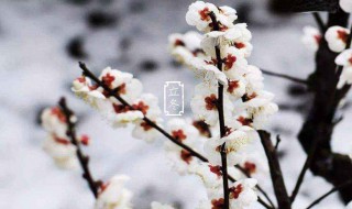 2019立冬祝福语 简短温馨独特