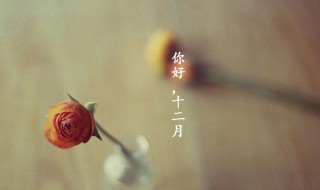 十二月你好语录 分享这几句给大家