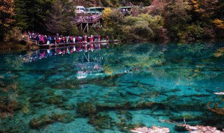 九寨沟70岁以上老人免票吗 九寨沟的门票优惠