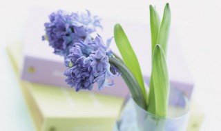 迎接2020年的优美句子 给大家分享这几句