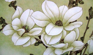 描写玉兰花的诗词 在古诗中领略玉兰花的柔情