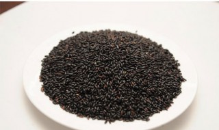 黑小米和黄小米的区别 最直观的可以从外形颜色上分辨黑米和黄小米