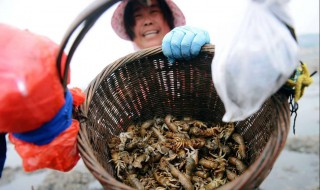 什么方法捕虾最好 提高产量的捕虾技巧
