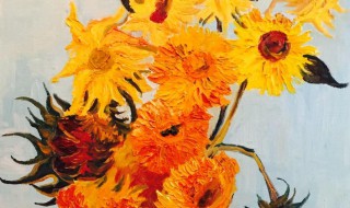 向日葵的作者 详细介绍一下